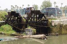 Private Day Tour to Al Faiyum Oasis and Wadi al Rayan from Cairo