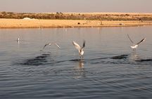 Private Day Tour to Al Faiyum Oasis and Wadi al Rayan from Cairo