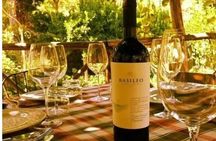 Wine Tasting at Basileo Cellar with Lunch