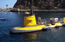 Yellow Semi-Submarine Tour of Catalina Island From Avalon