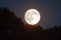 Cacao ceremony and Mayan dinner full moon