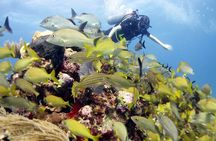 PADI Open Water Diver Course