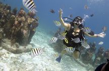 PADI Discover Scuba Diving for divers without certification