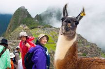 8-Day Peru Tours (Lima, Cusco & Sunrise at Machu Picchu)