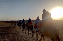 Sunset Camel Ride experience at the Agafay rocky Desert.