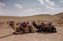 Sunset Camel Ride experience at the Agafay rocky Desert.