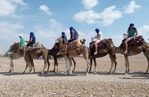 Sunset Camel Ride experience in the Agafay rocky Desert.