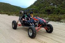 Spider Dune Buggy Adventure in Los Cabos
