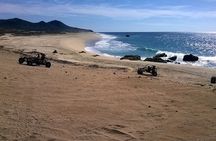 Spider Dune Buggy Adventure in Los Cabos