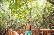 Casa Tortuga Eco Cenote Park+ Tulum Ruins! From Cancun & Playa Del Carmen