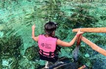 Casa Tortuga Eco Cenote Park+ Tulum Ruins! From Cancun & Playa Del Carmen