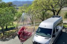Wine Tour Pros - Sprinter Van Wine Tour: Up To 14 Guests