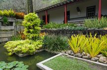 Private Half-Day Tour in Sítio Roberto Burle Marx