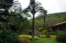 Private Half-Day Tour in Sítio Roberto Burle Marx
