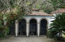 Private Half-Day Tour in Sítio Roberto Burle Marx