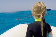 Sataya Dolphin House Snorkel Trip - Marsa Alam