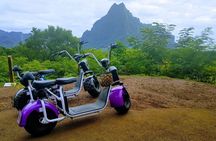 Cultural tour of Moorea in freedom