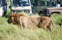 4 Days Tarangire ,Serengeti &Ngorongoro crater group Tour 