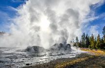 Yellowstone & Grand Teton National Parks: Small Group 4-Day Tour