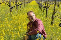 Wine Tour Pros - Corporate Charters and Events