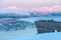 Tour of the authentic fjords of Kvaløya to Sommarøy