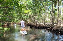 Nature Stand Up Paddle Boarding Experience in Miami 