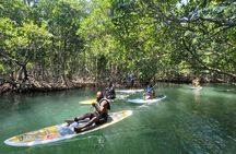 Nature Stand Up Paddle Boarding Experience in Miami 