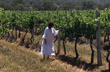 Full-Day Private Wine Tour of the Stanthorpe Area with Lunch