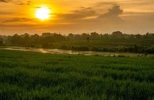The Other Side of Bali - The North