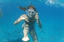 3-Hour Small-Group Sailing Tour around the Lobos Island