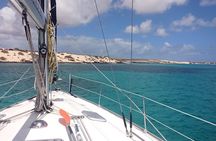 3-Hour Small-Group Sailing Tour around the Lobos Island