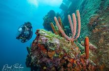 Aruba One or Two Tank Scuba Dive
