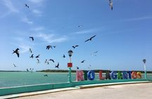 Tour to Las Coloradas Pink Waters and Boat Ride in Rio Lagartos with Lunch.