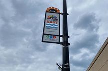 Small-Group Tour of Chicago Neighborhoods - North and South Side