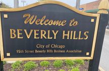 Small-Group Tour of Chicago Neighborhoods - North and South Side