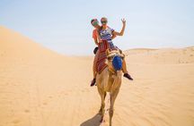 Camel or Horse ride on west bank