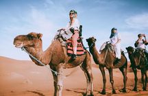 Camel or Horse ride on west bank