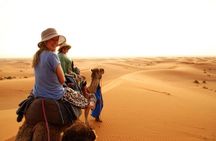 Camel or Horse ride on west bank