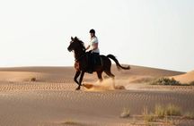 Camel or Horse ride on west bank