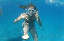 Sailing tour around the Lobos Island Natural Park / 4h