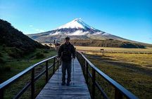 Cotopaxi Volcano Tour from Quito – Day Trip to the Andes