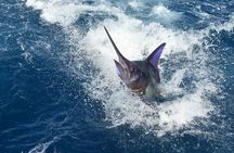 Tulum Deep Sea Fishing Tour