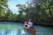 Half-Day Private Los Haitises Caves and Mangroves Canoe Tour