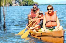 Half-Day Private Los Haitises Caves and Mangroves Canoe Tour