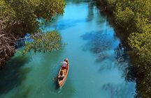 Half-Day Private Los Haitises Caves and Mangroves Canoe Tour