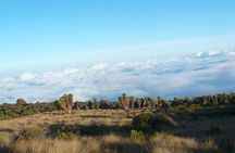 7 Day Kilimanjaro Rongai climb