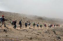 8 Day Kilimanjaro Lemosho Climb