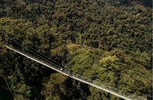 2 Days Chimpanzee trekking & Canopy Walk in Nyungwe National Park 
