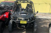 4-Hour Buggy Tour of New Providence (Inclusive of water & local deserts)