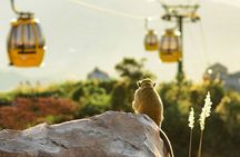 Golden Bridge & Ba Na Hills Private Day Tour with Chauffeur